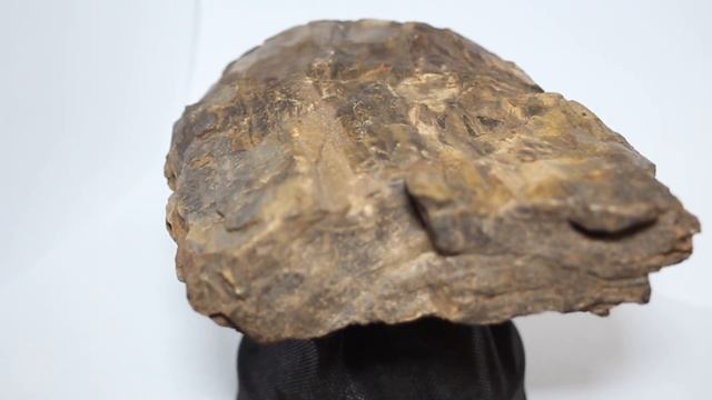 Кремниевые деревья Удмуртии смотреть онлайн