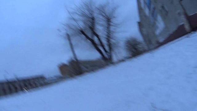 Зачем маленьким собакам одежда. ОТВЕТ. смотреть онлайн