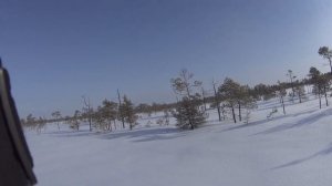 Ох уж эти ушастые. Испытание снегоступов CANADIAN CAMPER Forester