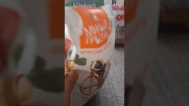 Как нужно подготовится при покупке шиншиллы? смотреть онлайн