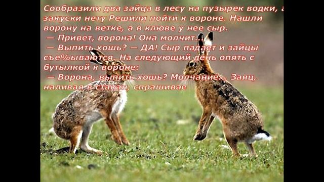 Анекдот Юмор Смех Ворона и зайцы смотреть онлайн