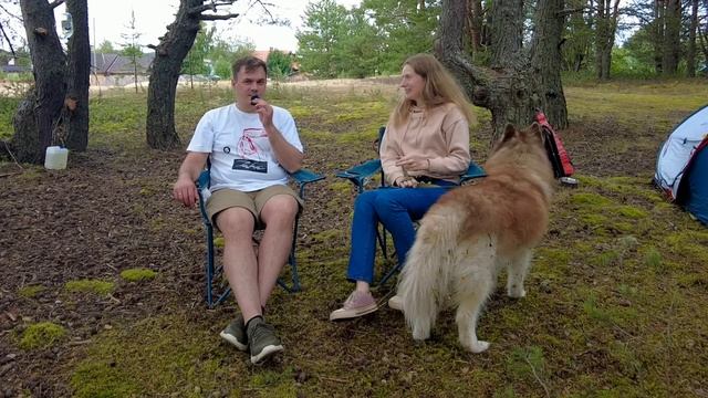 НАШИ ВПЕЧАТЛЕНИЯ о КЕНОЗЕРСКОМ НАЦИОНАЛЬНОМ ПАРКЕ | ПУТЕШЕСТВИЯ ПО РОССИИ смотреть онлайн