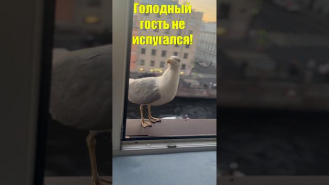 Марен Марнэ - Музыкальная лаборатория