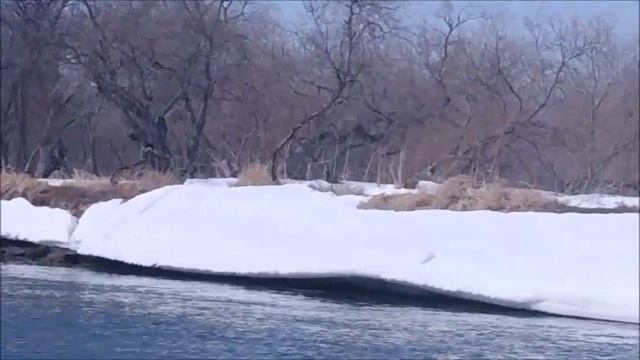 Рыбалка на гольца. 19.02.2019. Косоево. смотреть онлайн