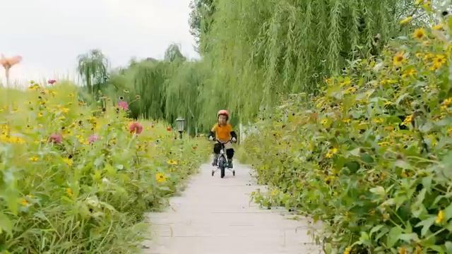 Segway Ninebot Kids Bike for Boys and Girls Bike Review смотреть онлайн