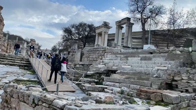 Библиотека Цельса смотреть онлайн