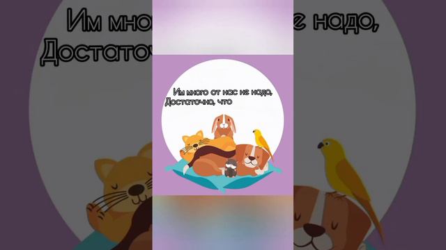 А у вас есть домашние животные? #рекомендации #cat #dog #anime #animals смотреть онлайн