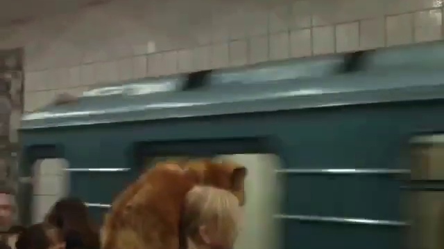 Лиса в метро) смотреть онлайн