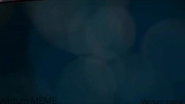 Kitten,Happy Happy cat meowing but famous places