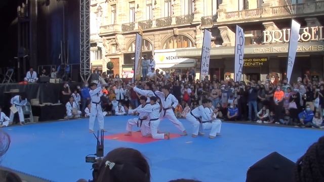 Kukkiwon Taekwondo Demonstration (Brussels 2021) смотреть онлайн
