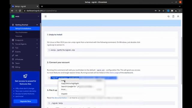 How to Install Ngrok on any Linux | Ubuntu | Kali Linux | 2022 смотреть онлайн