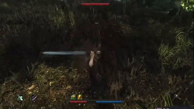 Risen,изучаем мир смотреть онлайн