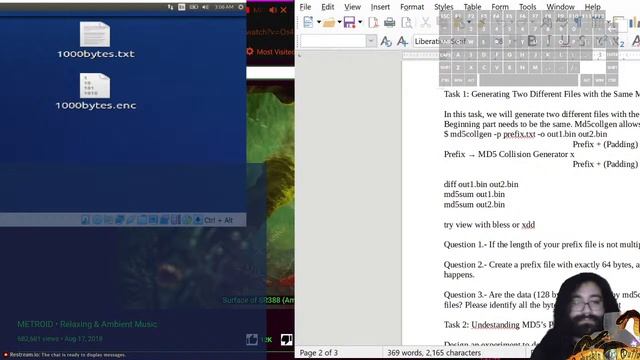 MD5 Collision Attack Lab смотреть онлайн