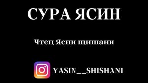 сура Ясин чтец ЯСИН ЩИШАНИ