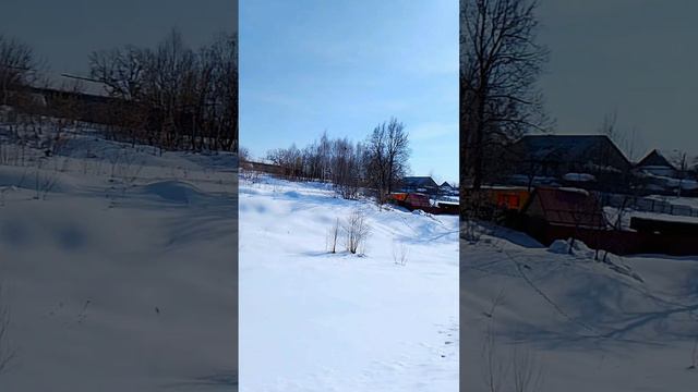 Летний вайб 🐦🎨🧩