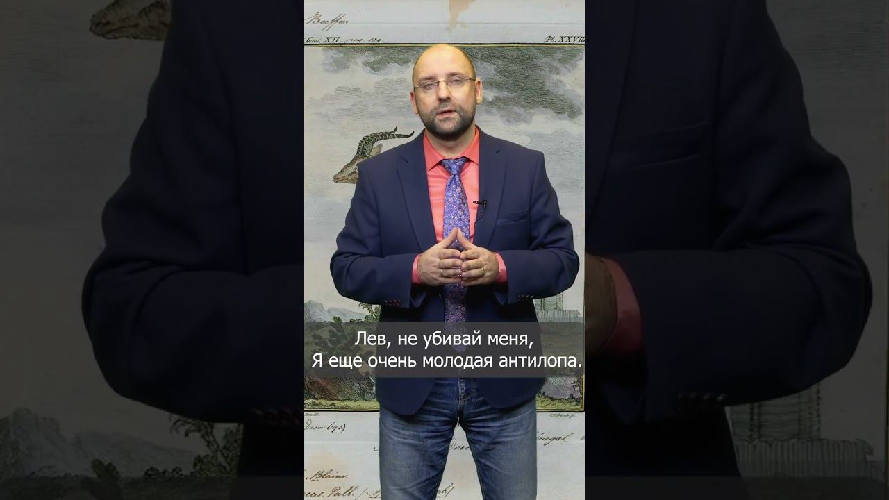 Сильные слова со смыслом мудрые мысли. Как среда влияет на нас#shorts смотреть онлайн