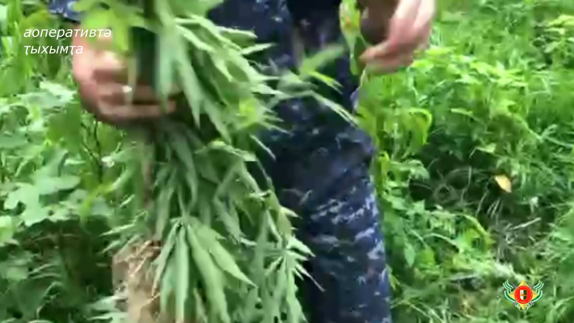 Аҧсны ААР аусзуҩцәа арҩышьыга злоу аҵиаақәа аазрыхуа раарҧшразы апрофилактикатә усқәа мҩаҧыргоит.