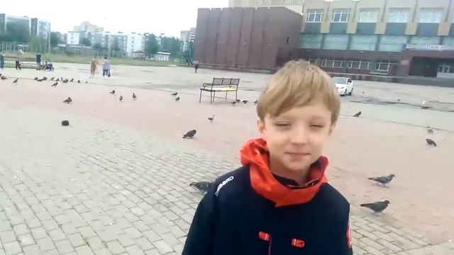 не ДЕНЬ ВДВ купание в фонтане смотреть онлайн