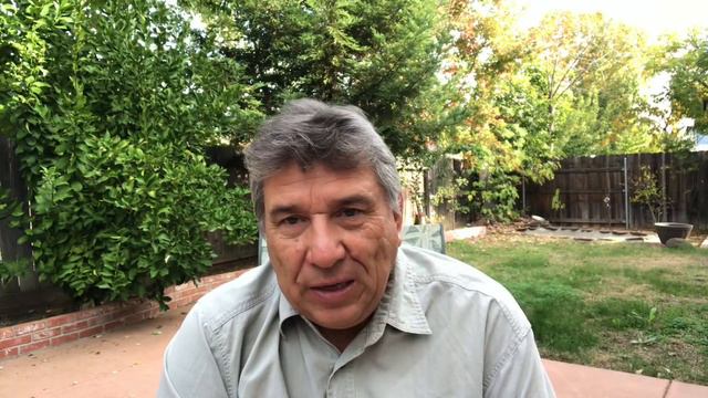 581 Воскресенье. Чтение Библии смотреть онлайн