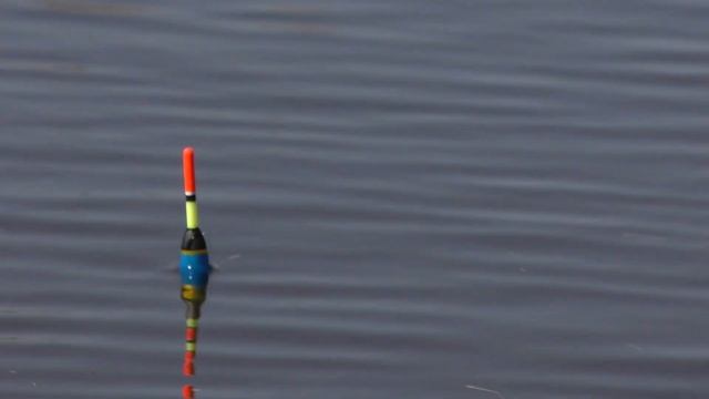 КРУПНЫЙ КАРАСЬ НА МАЛОЙ РЕКЕ. РЫБАЛКА НА ПОПЛАВОК. ЗАТОПЛЕНЫЙ ЛЕС. смотреть онлайн