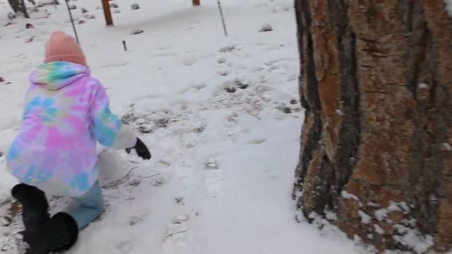 BACKWARDS POLAR BEAR PLUNGE! | We Are The Davises смотреть онлайн