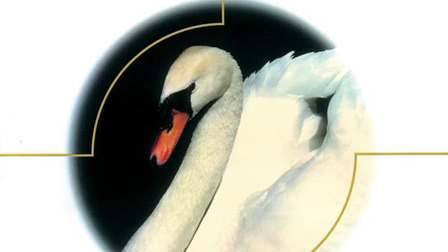 Wagner: Lohengrin, WWV 75 / Act 3 - In fernem Land, unnahbar euren Schritten смотреть онлайн
