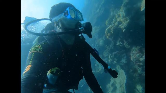 Australia's Great Barrier Reef | Relaxing Ocean| Underwater Paradise | The Coral Reef | Scuba Divin смотреть онлайн