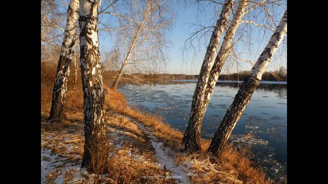 Вот и снова мне осень нужна сл А Жигулин муз А Долгов смотреть онлайн