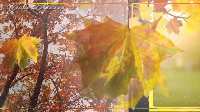 Стареть не стыдно. 1 октября День пожилых людей. Красивое поздравление с Днем пожилого человека. смотреть онлайн