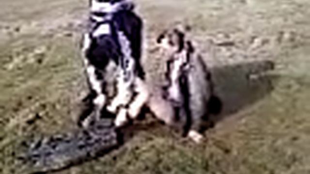 алкаши на рыбалке