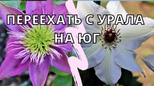 #121 В гостях у Юры и Лены, которые переехали на юг с Челябинской области.mp4