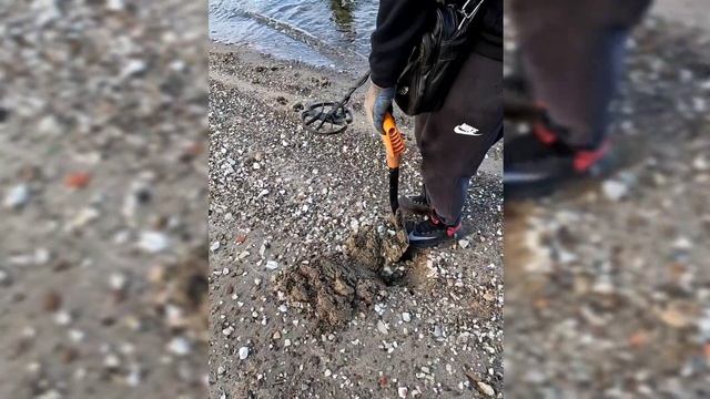 На прогулке с лабрадором, проверяем сигналы металлоискателя на берегу Волги, в поисках клада смотреть онлайн