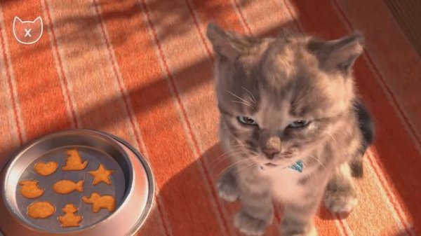 Play Fun Pet Kitten Care - Little Kitten Preschool - Fun Educational Learning Kids Games