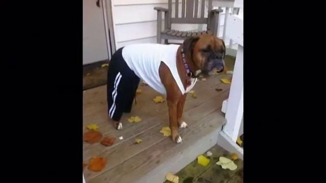 Юля Данилочкина