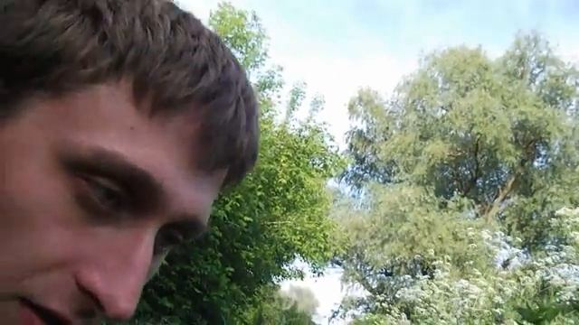 Сверчок полевой. Пение сверчка. смотреть онлайн