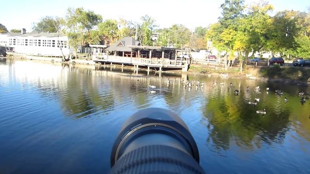 Nikon AF-S NIKKOR 200-500mm f/5.6E ED VR Lens Field Test смотреть онлайн