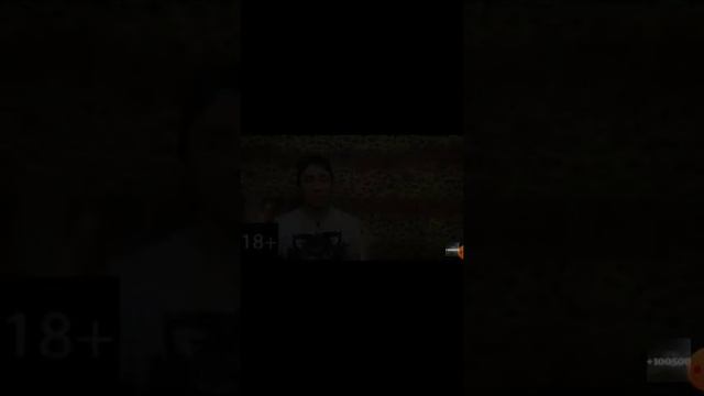 Кот блюёт а собака пердит смотреть онлайн