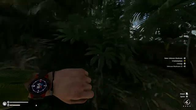 Green Hell Mu'agi camp location смотреть онлайн