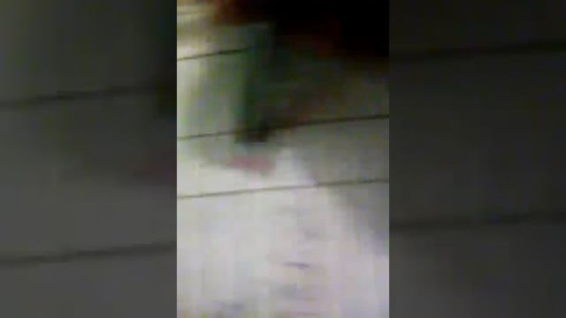 Лэйахакки как стереть оценку 2 смотреть онлайн