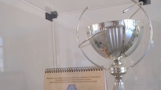 Педагог дополнительного образования ЦРСД "Альтаир" смотреть онлайн