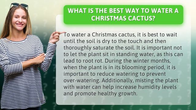 What is the best way to water a Christmas cactus? смотреть онлайн