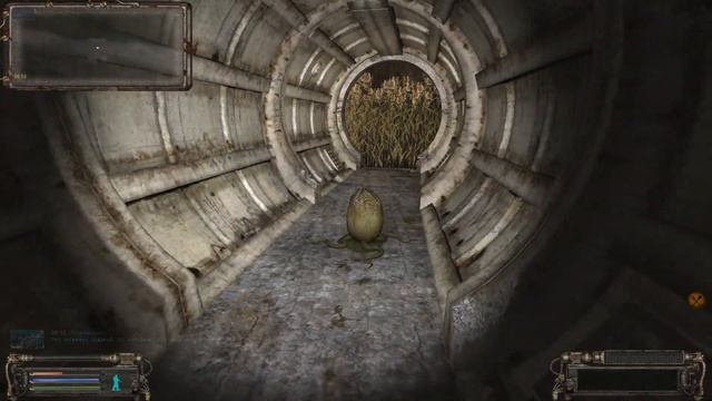 Кладка яиц Арахнидов в Темной лощине ОП 2.1