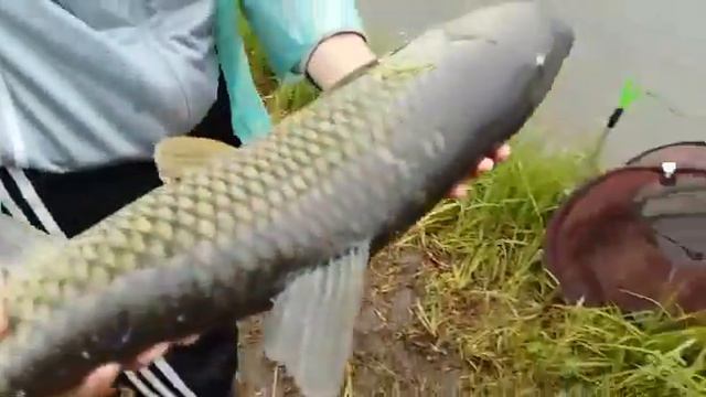 Трофейный амур смотреть онлайн