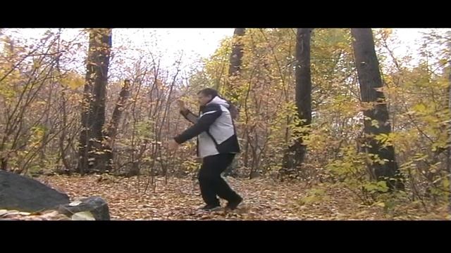 Оздоровительныей даосский цигун