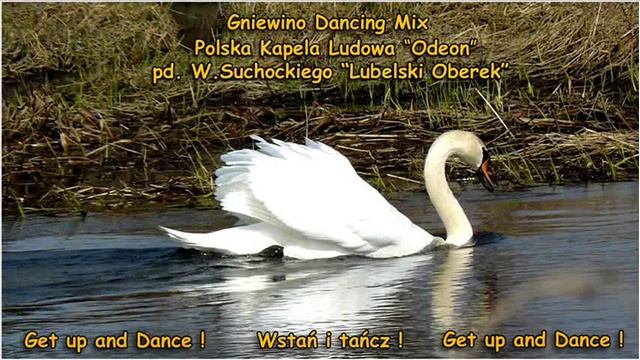 Polska Kapela Ludowa -  LUBELSKI OBEREK