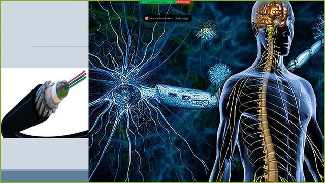 Исходный код: сходство между компьютером и человеком смотреть онлайн