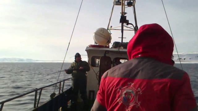 Ловля трески на востоке о.Кильдин, Баренцево Море. смотреть онлайн