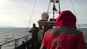 Ловля трески на востоке о.Кильдин, Баренцево Море.