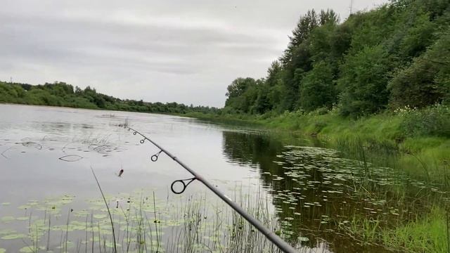 ЗАЧЁТНЫЙ ОКУНЬ НА ПОППЕР УВИДЕЛ ЩУКУ И ПОЙМАЛ смотреть онлайн