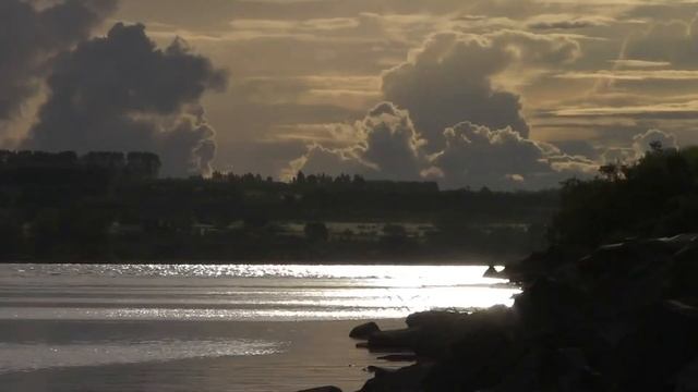 Арктурианский Совет Ваш разум и ваши эмоции 1 смотреть онлайн